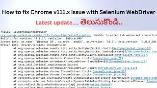 Fix for Chrome v111.x issue with Selenium WebDriver | Latest update