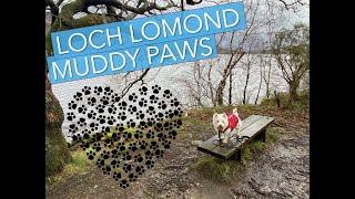 HIGHLAND adventures : LOCH LOMOND : Westie Dog