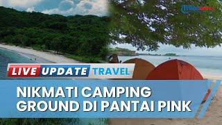 Jadi Jujugan Wisatawan Mancanegara, Pantai Pink di Lombok Timur Hadirkan Paket Wisata Camping Ground