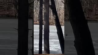 Ice fishing .. on a frozen river