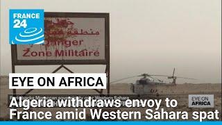 Algeria withdraws envoy to France amid Western Sahara spat • FRANCE 24 English