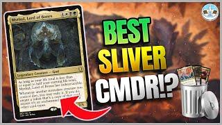 Five Budget Non-Sliver Sliver Commanders - Shower Thoughts Ep13 - BRBMTG