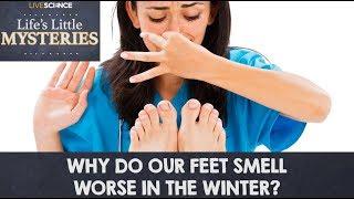 Why Do Our Feet Smell Worse in the Winter?