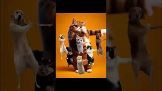 Dancing Cat Eryko! #ai #aiart #aicat #cat #catlover #fypシ゚viral #funny #love #dance #dancevideo