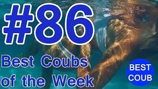 Best Coub of the Week | Лучшие Кубы Недели #86