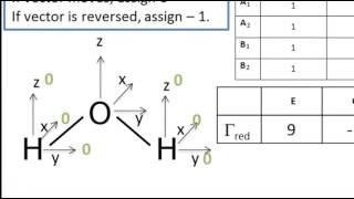 Molecular symmetry in assigning IR vibrational modes for polyatomic molecules