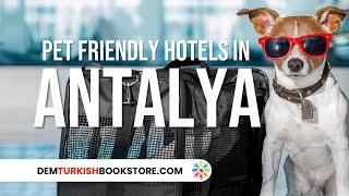 Top 10 Pet Friendly Hotels in Antalya | Best Antalya Hotels To Stay