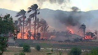 Forest fire in Turkey destroys 125 hectares of forestland