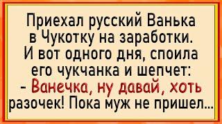 Как Чукчанка Русского Споила! Сборник свежих анекдотов! Юмор!