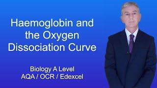 A Level Biology Revision "Haemoglobin and the Oxygen Dissociation Curve"