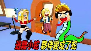 夥伴變成了蛇？快逃離這個奇怪的房子……！snake | ROBLOX