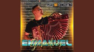 Pego Na Concertina