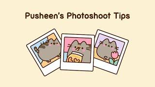 Pusheen's Photoshoot Tips