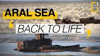 Aral sea | The difficult return of water