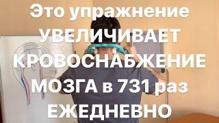 Упражнение усиливает кровоснабжения мозга в 576 раз и омолаживает сосуды на 23 года ежедневно