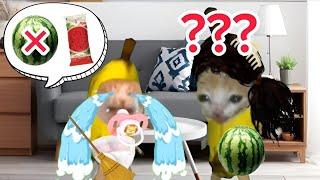 Banana cat crying watermelon flavored ice cream #babybananacat #happycat #bananacat #xosen7