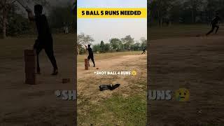 POV : Jita Hua Match Kaise hare  || #cricket #cricketlover #cricketvlog #shorts