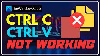 Ctrl+C and Ctrl+V not working in Windows 11/10