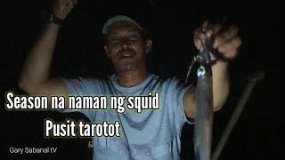 Nagpahuli na naman ang pusit/squid, pusit tarotot.