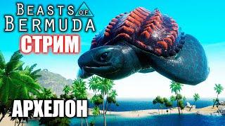 ЧЕРЕПАХНУТЫЙ СТРИМ ► АРХЕЛОН | BEASTS OF BERMUDA