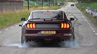 Ford Mustang 5.0 V8 Royal Crimson GT Performance - BURNOUT & SOUND!