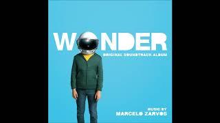 Marcelo Zarvos - "Via" (Wonder OST)