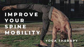 Improve your spine mobility & health | Yoga therapy for the SPINE | Japanese Yoga ️