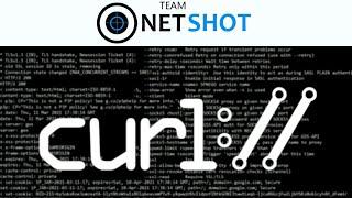 [Hacker's toolkit] cURL crash course for beginners