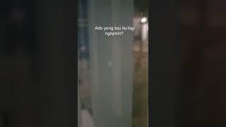 Itu lagi ngapain ya?#viral