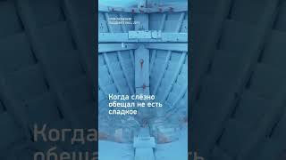 Смотрим «Приключений Паддингтона» и ждём новую историю про медвежонка в Перу — в кино с 28 ноября!