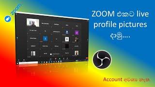 How to set live profile picture to zoom (with obs studio)