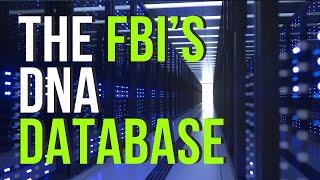 Unveiling the FBI's DNA Database: How Big Data Connects Crimes with Forensic Science