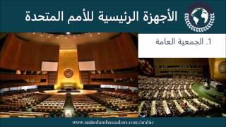 What is the United Nations - ما هي الأمم المتحدة