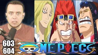 HOW MANY ALLIANCES ARE FORMING IN ONE PIECE? | One Piece Episode 603 and 604 REACTION