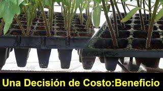 Diferencias entre las Bandejas de GERMINACION de 72 cavidades y 200 cavidades