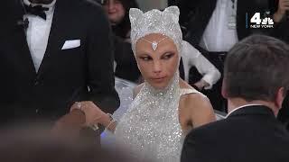 Doja Cat Shows Up to Met Gala 2023 as a CAT