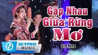 Gặp Nhau Giữa Rừng Mơ (st: Bảo Chung) - Sim Nông | Cô Gái Dân Tộc Hát Dân Ca Thật Hay