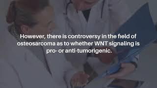 Targeting WNT5B and WNT10B in Osteosarcoma | Oncotarget