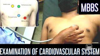 Examination of Cardiovascular System | English/Hindi | #MBBS Physiology practicals | MUHS pattern