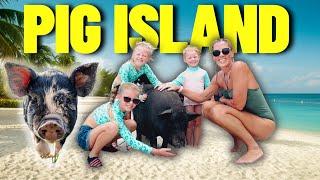 You MUST visit PIG ISLAND when in KOH SAMUI (THAILAND) 