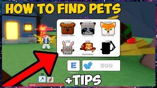 How to Get Pets  Reaper Simulator 2* New Quests are so OP!!! (Roblox)