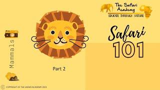 Safari 101 for Kids | Learn about animals | Educational video for kids and toddlers