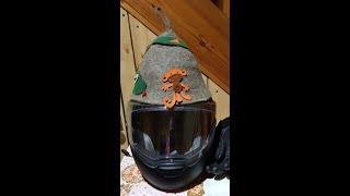 ЛУЧШИЙ ШЛЕМ МОДУЛЯР ОБЗОР SCHUBERTH C4 PRO