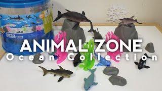 The Ocean | Animal Zone Ocean Collection | Virtual Explorer