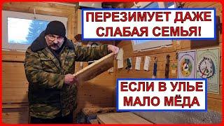  У Вас слабая семья? В улье мало мёда? - Не беда! Что надо сделать, чтобы зимовка пчел получилась 