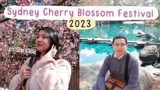 Sydney Cherry Blossom Festival (2023)