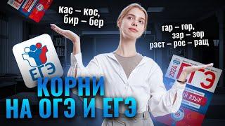 Правописание всех корней | Русский язык ЕГЭ для 10 класса | Умскул