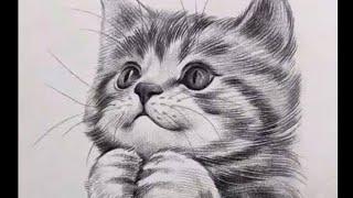 cute cat pencil shading drawing ideas#Art By Aarya Agrahari