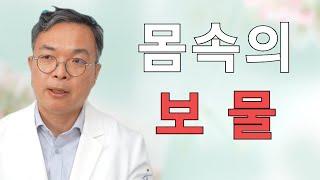 보물이 몸속에 있는데 왜 밖에서 찾아요? 생체나이 젊게 하는 3가지 보물을 발굴하는 2가지 도구들.