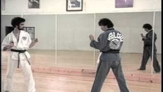 Grandmaster Hee Il Cho Jumping Spinning Heel Kick